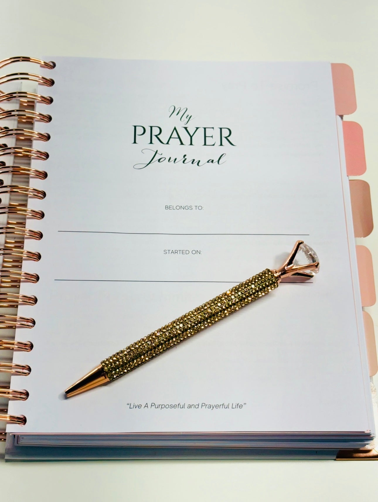 I CAN DO ALL THINGS DELUXE PRAYER JOURNAL (ROSE GOLD) PEN & GIFT BOX